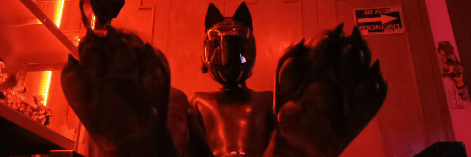 Not_A_Femboy's profile banner image