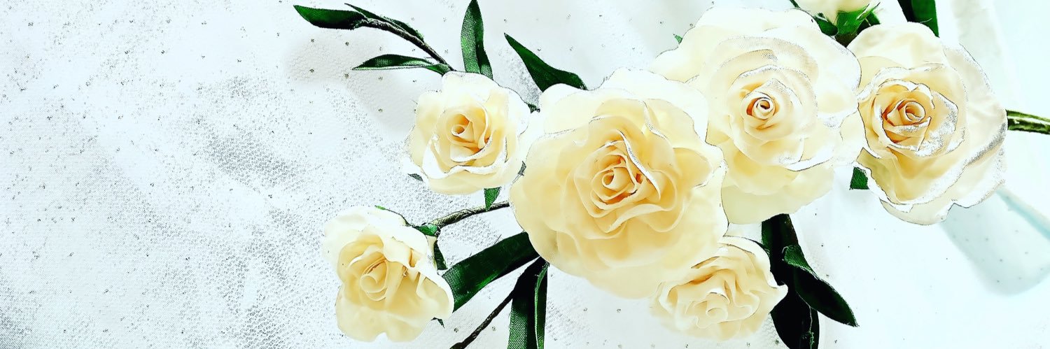 MSuina's profile banner image