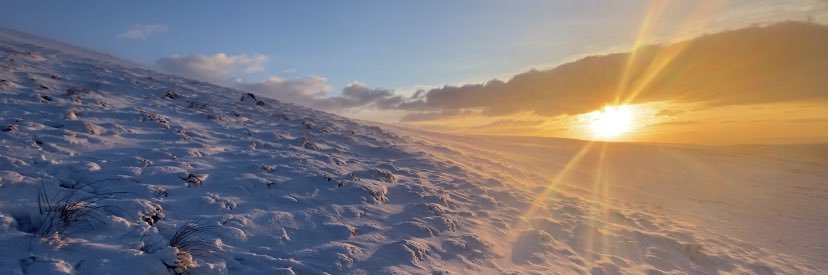 Daniel Pinder banner