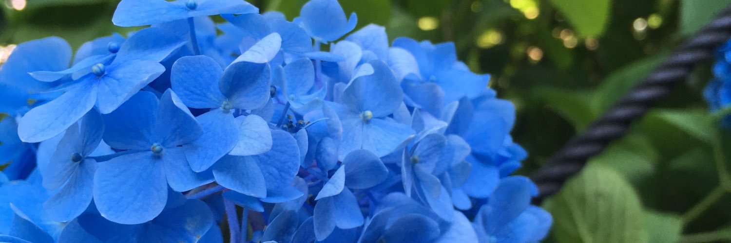 aki_hikawa's profile banner image