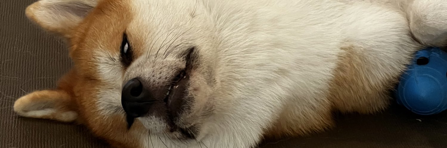 puifaipkj's profile banner image