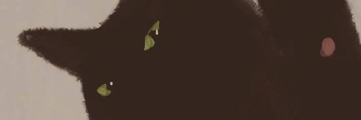 scpn00's profile banner image