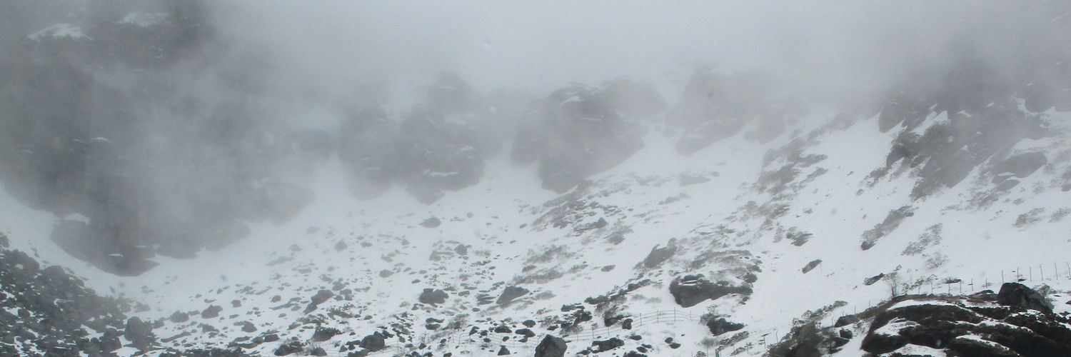 Dhimankoushik's profile banner image