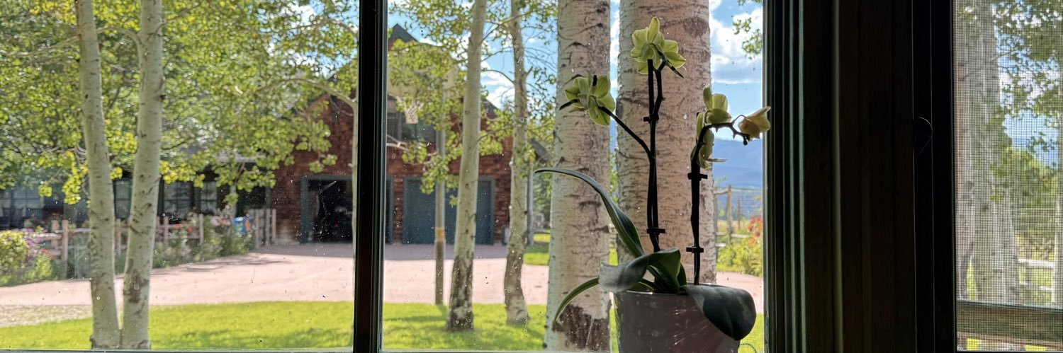 Alex 🌿🐈‍⬛ banner