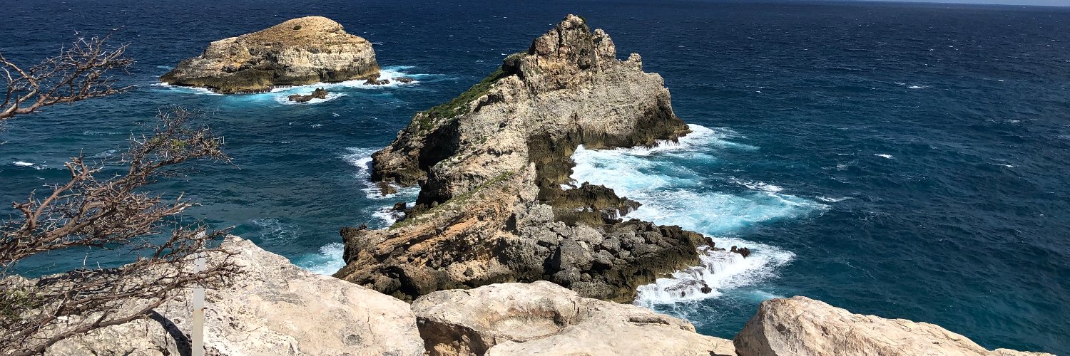 Clément Chauvier banner