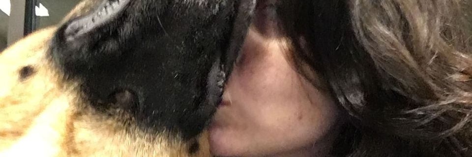 vincze_margit's profile banner image