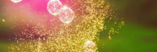 PatriceVo's profile banner image