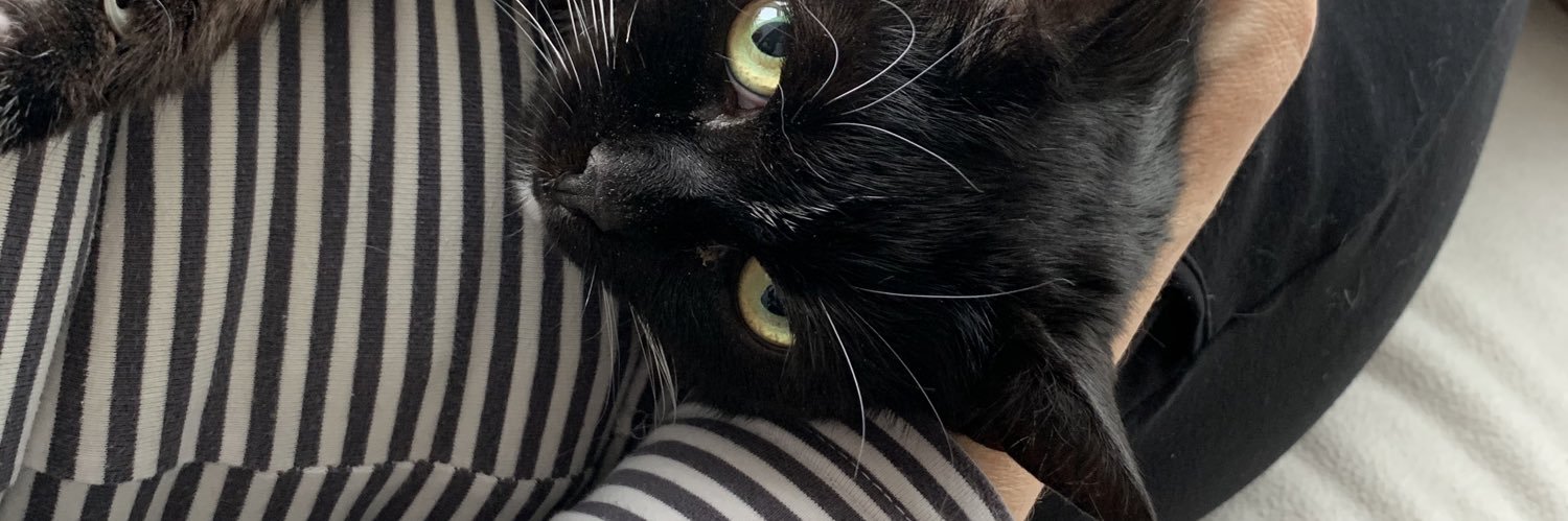 crazykittydoc banner