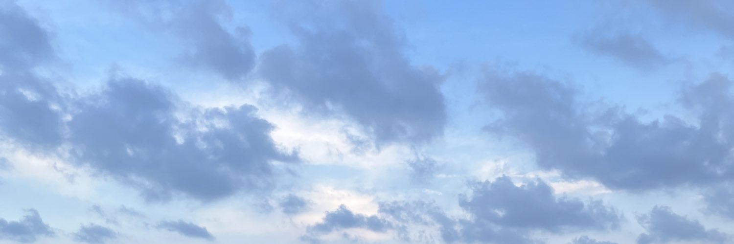 MineTepret's profile banner image