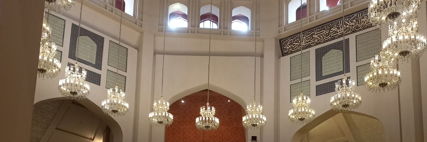SulemanPannu's profile banner image