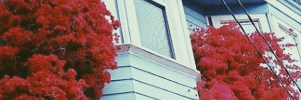 jassikatic98's profile banner image
