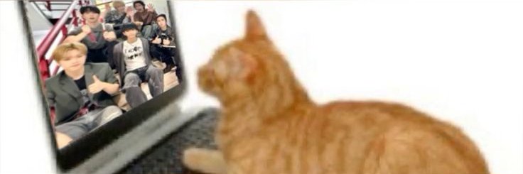 awatanabae's profile banner image