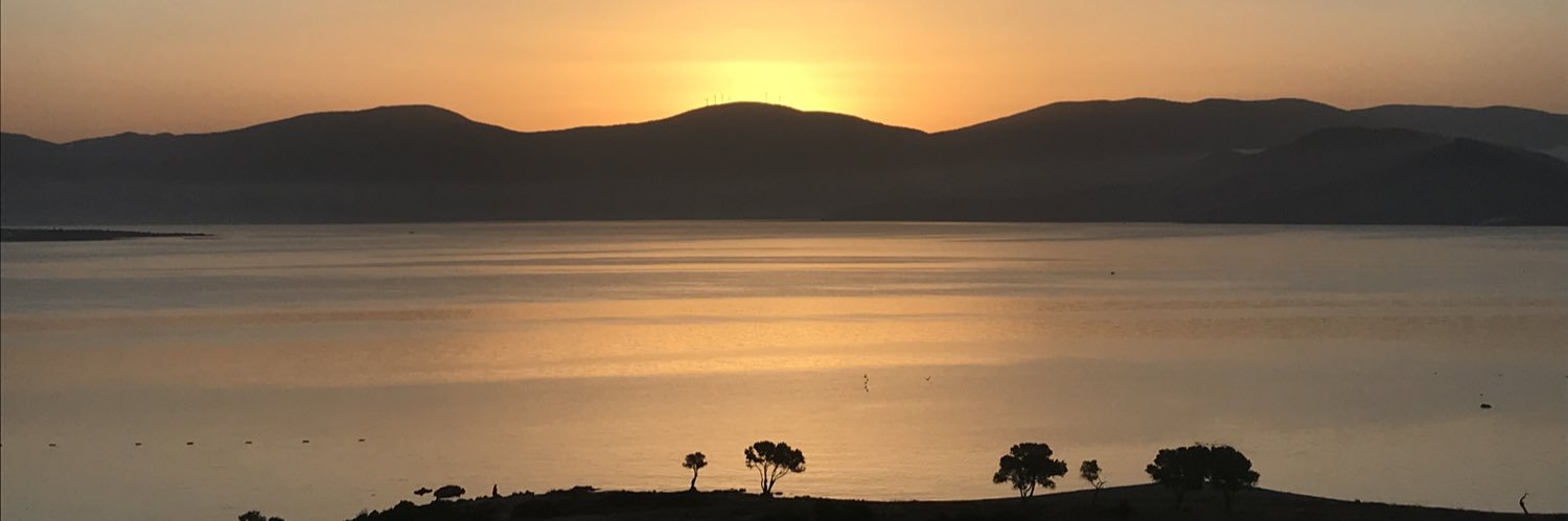 MURFISH 🇬🇧 banner