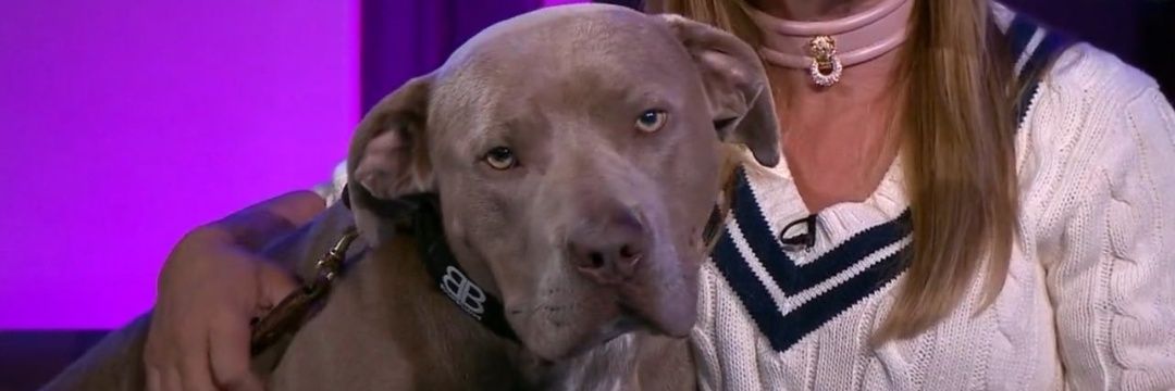 Elliot Atkins banner