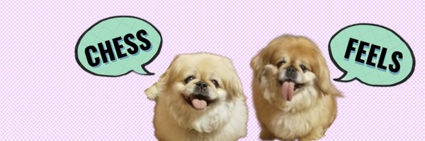 chessfeels Profile Banner