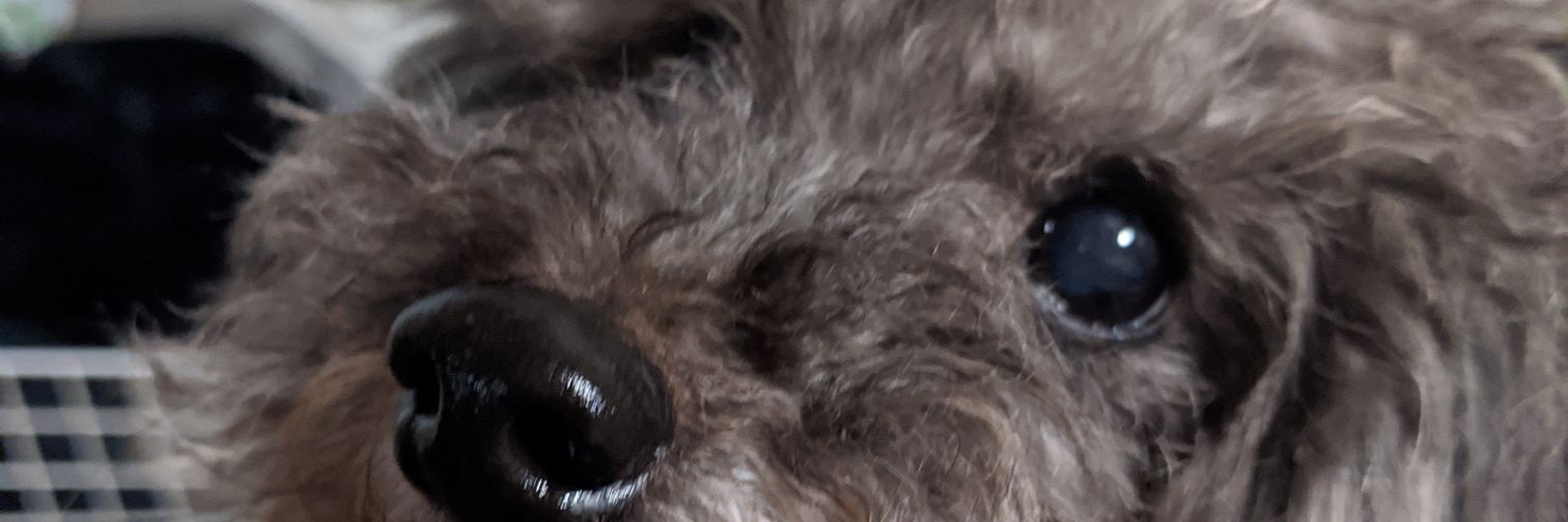 boochan_07's profile banner image