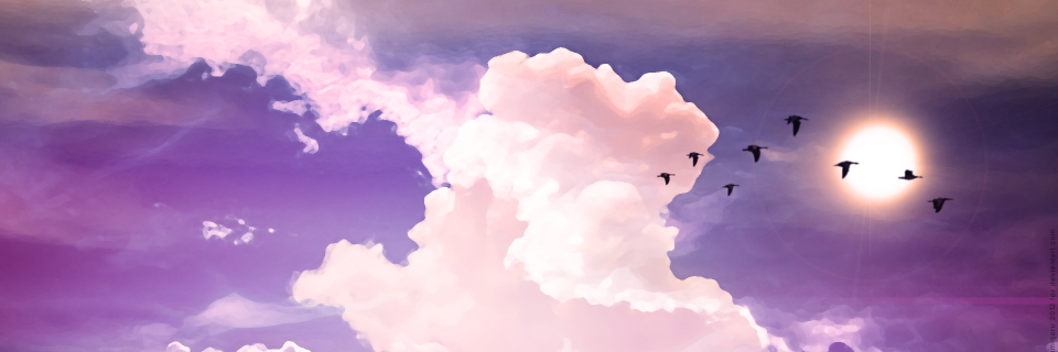 Destin_fragiles's profile banner image