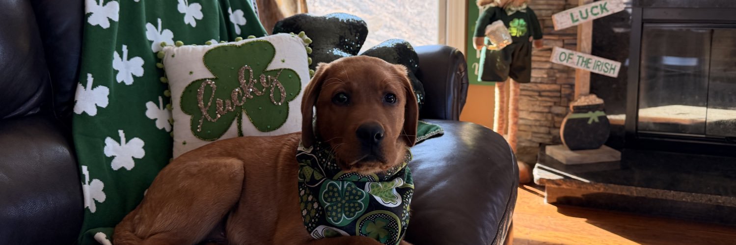 Arći (In memory of AZLAN🌈) banner