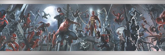 Solidspider banner