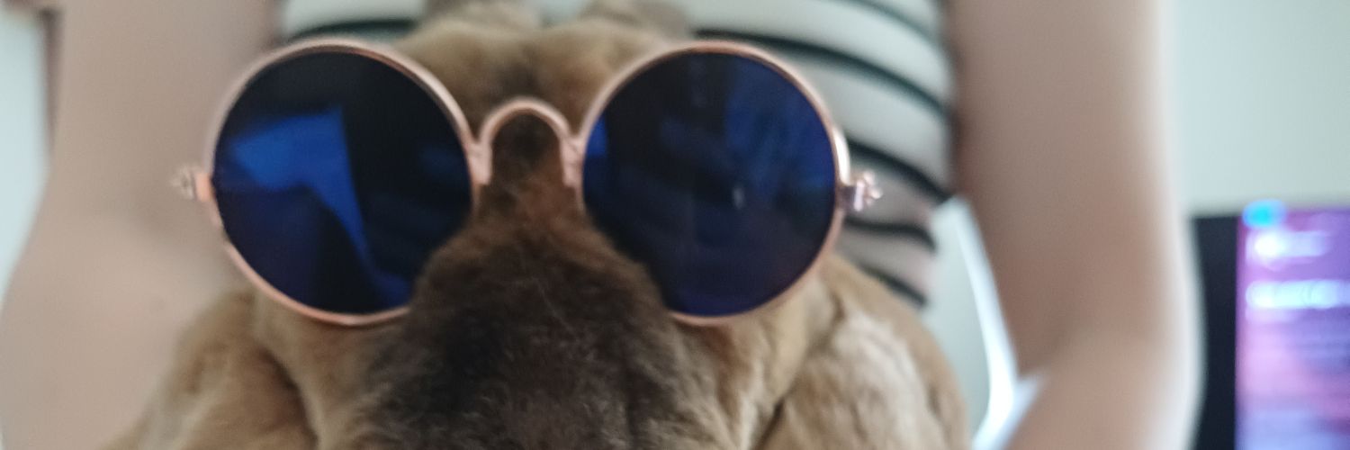 ZoltanReal's profile banner image