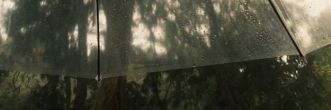 لؤي بن سلطان الشهري banner