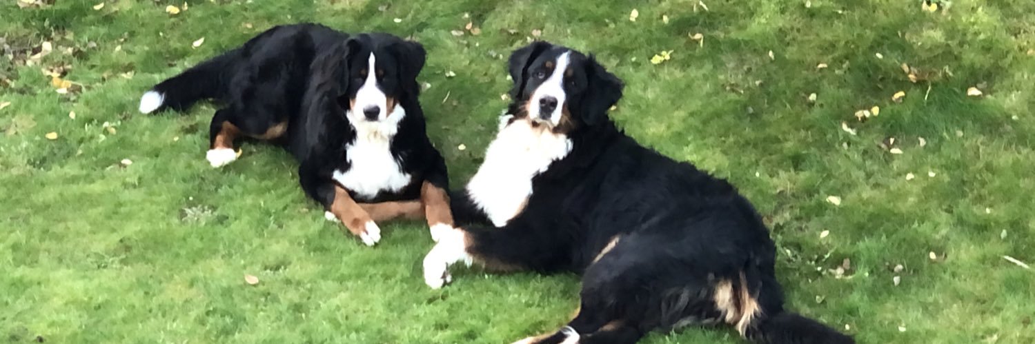 Pria im Herzen - Amy & Jeany bei mir banner