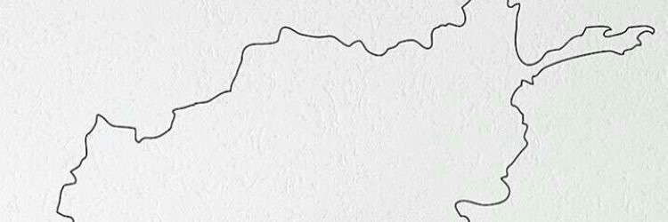shwooni's profile banner image