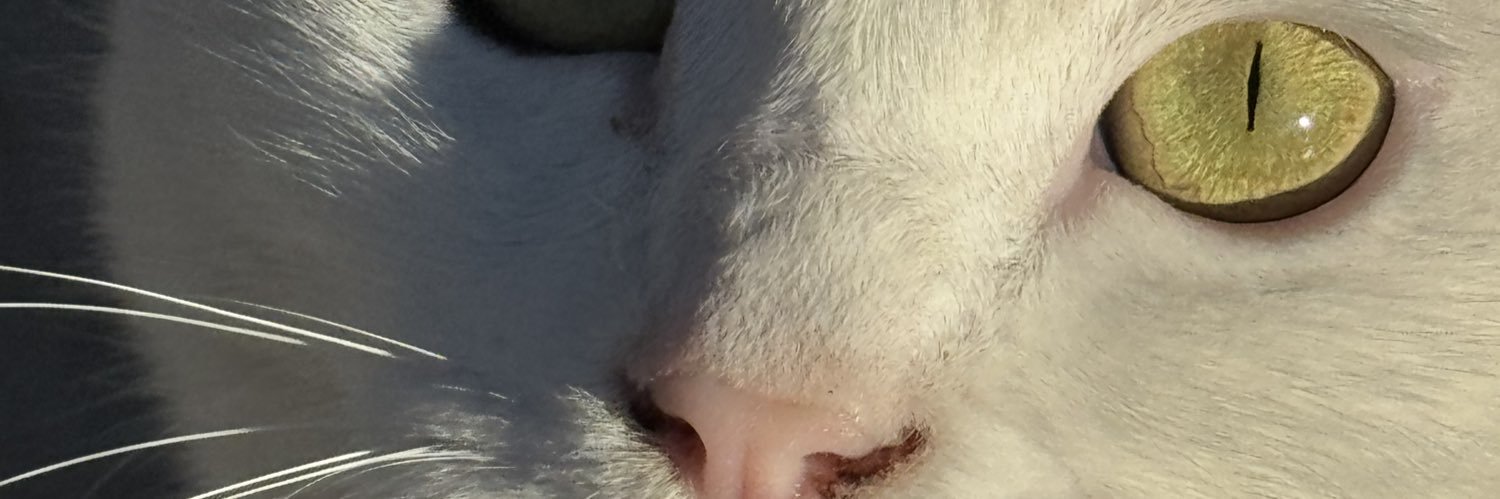 dilangcl's profile banner image