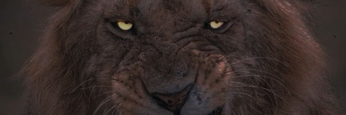 Burack banner