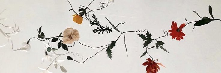 meteorstream___'s profile banner image