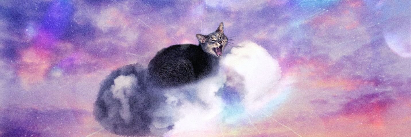 senegue's profile banner image