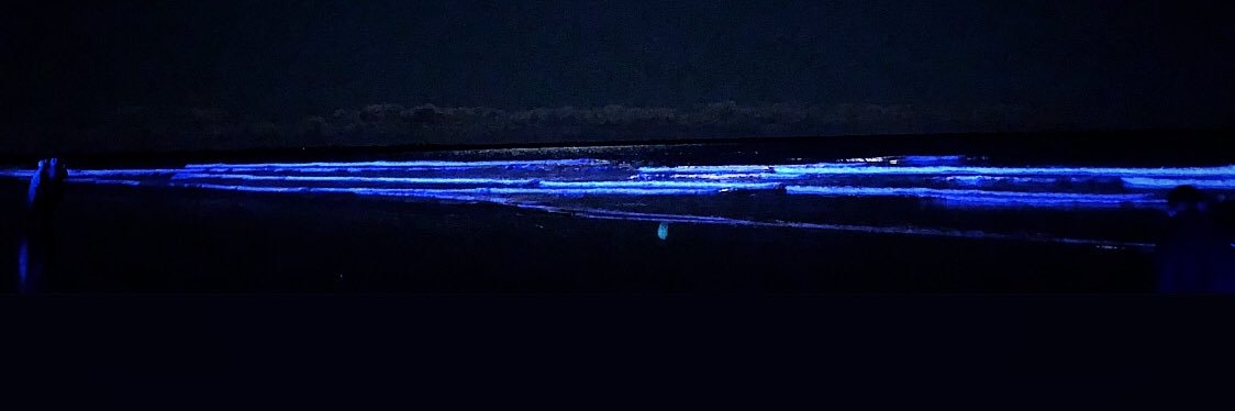 1121koki_7's profile banner image
