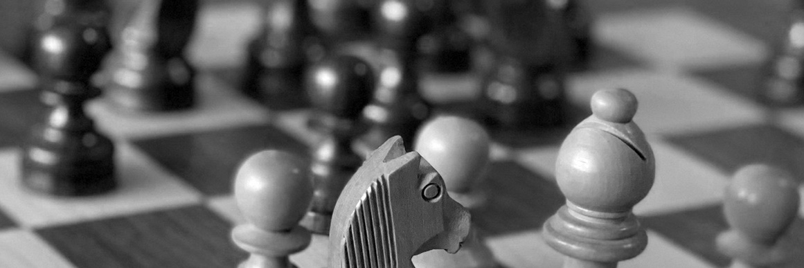 Shredder Chess banner