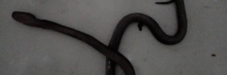 Shugaba_rawl's profile banner image