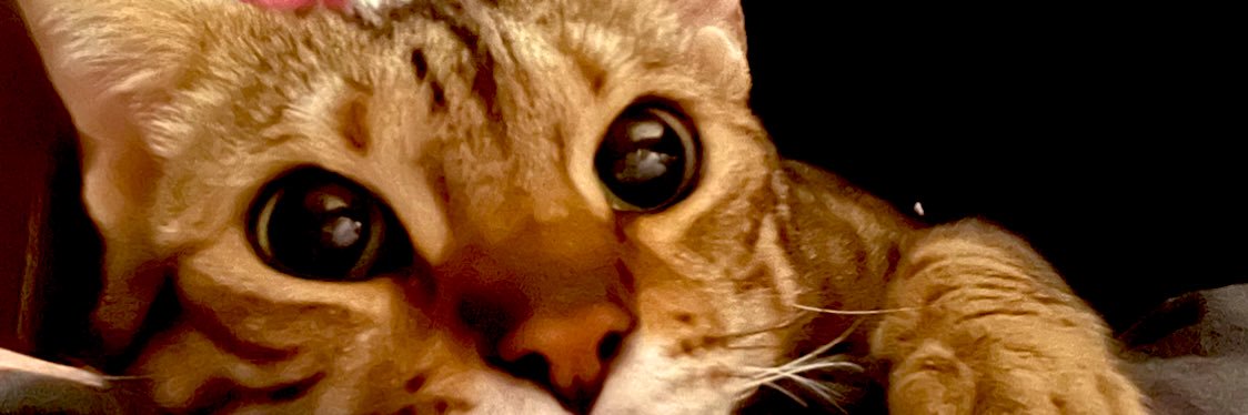 AyatabeA's profile banner image