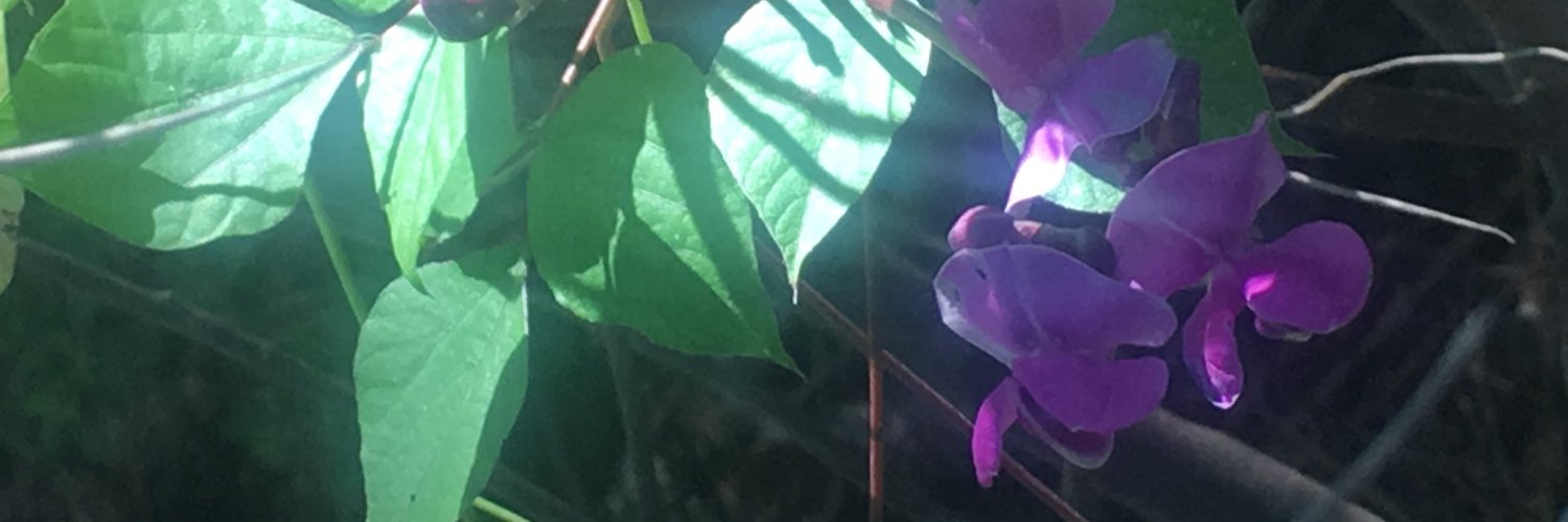 Lila N. Lockheart banner