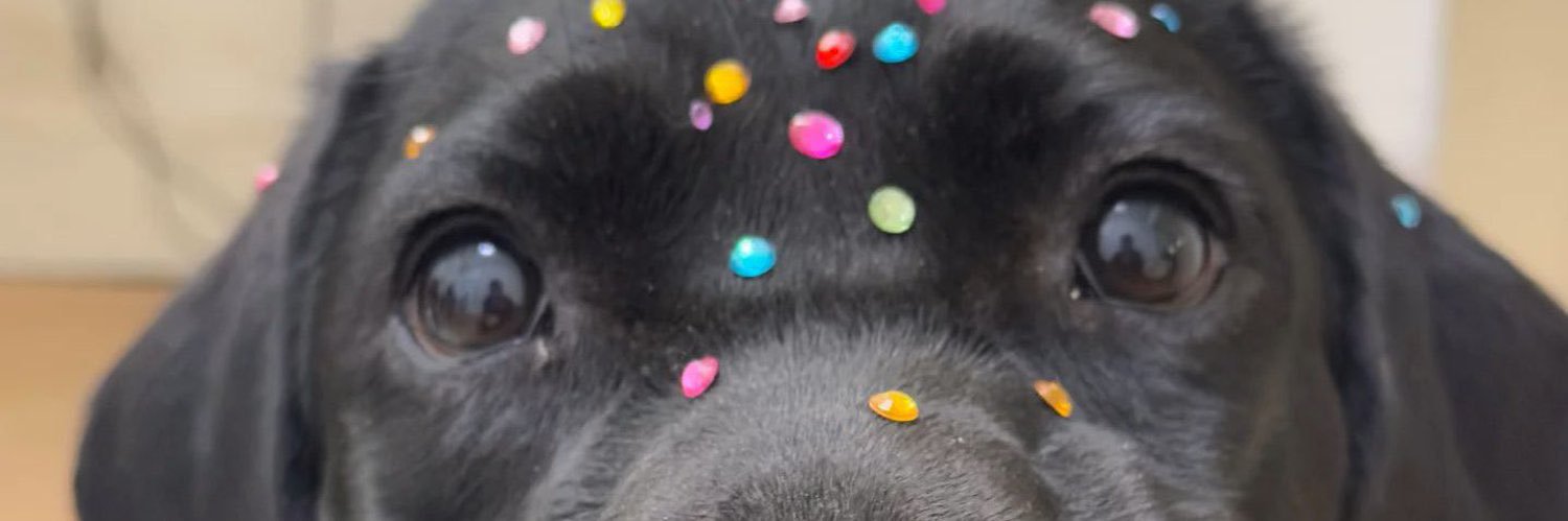 mr. chocorywolf 🩷 #LUBSDAY banner