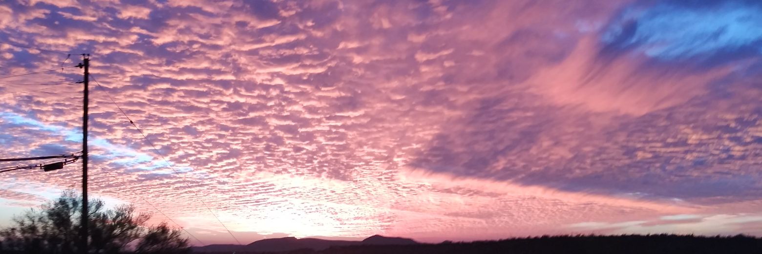 Sherbinowski 🌻 banner