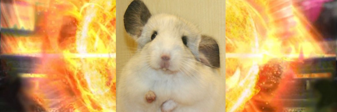 おかぴぃ🥜🐯@大山だいちゅき💖 banner