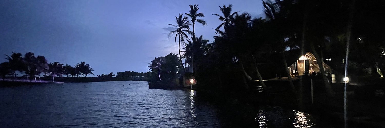 Pontiac Bandit banner