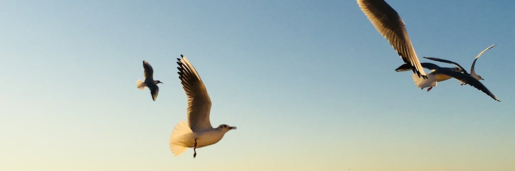 Audreypeche's profile banner image