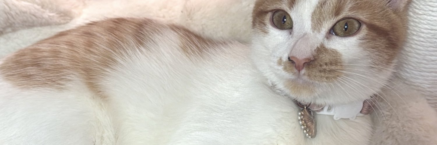 genesiselisaa's profile banner image