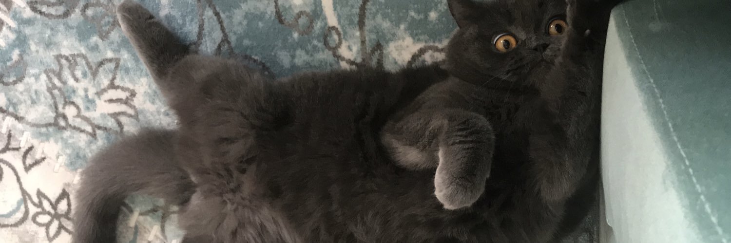 lilbegus's profile banner image