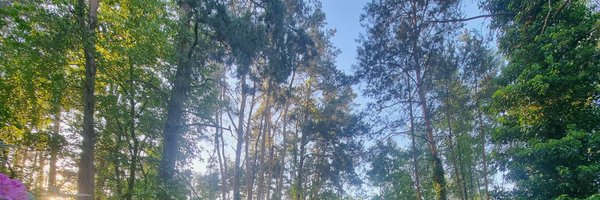 Marsjasz Profile Banner