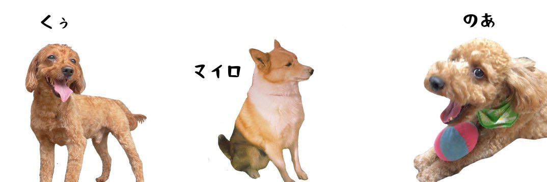 aaami__1026's profile banner image