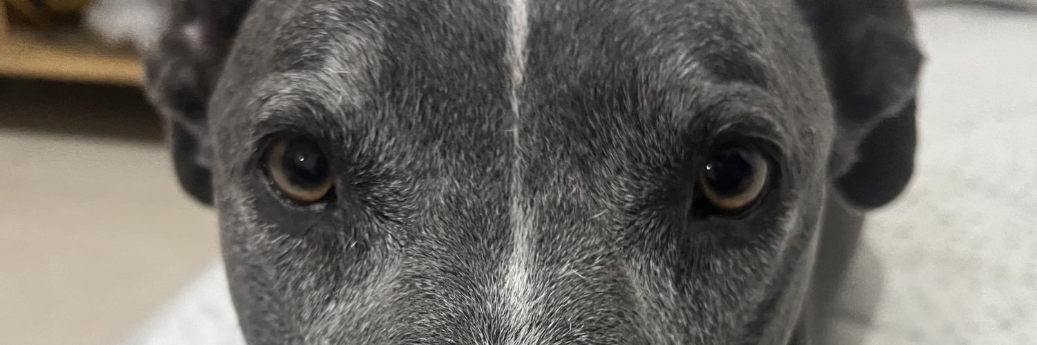 ocadiz_ivan's profile banner image