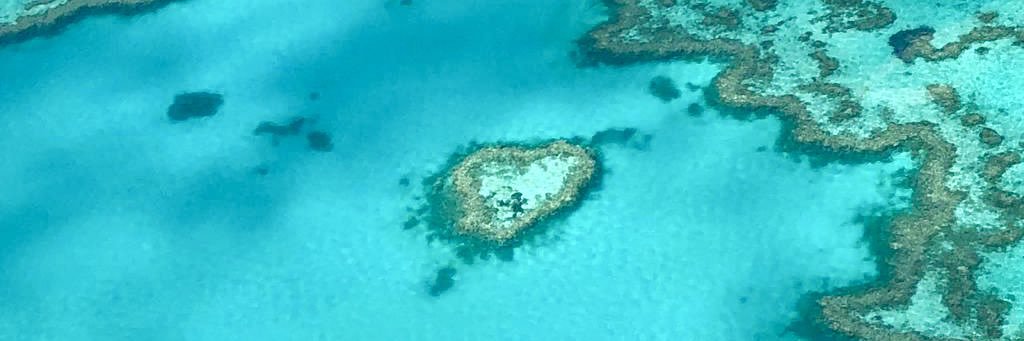 Joost van Buchem banner