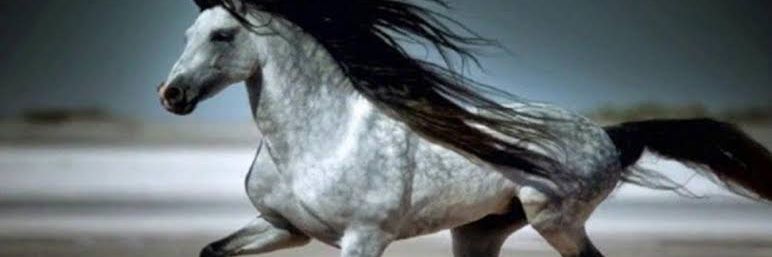 💦رِهـ💙ام banner