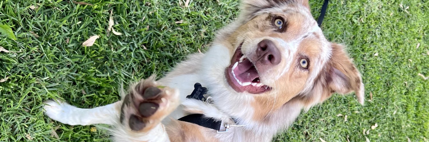 Bridget Haley banner