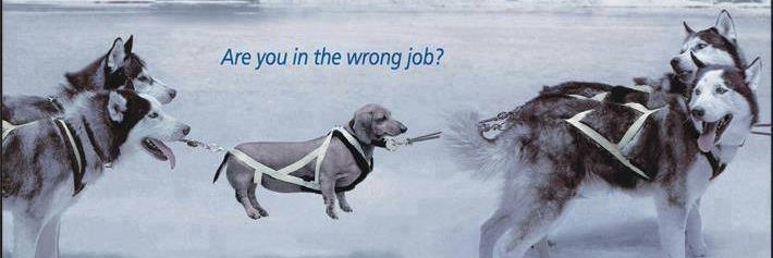 recruiterchick's profile banner image